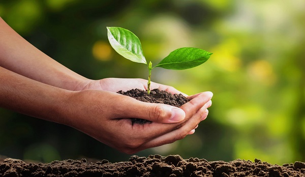 Definicion-de-Desarrollo-Sustentable